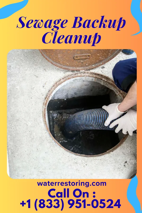 Sewage Backup Cleanup in Shullsburg, WI